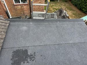 WhatsApp Image 2026 01 12 at 15.58.51 |